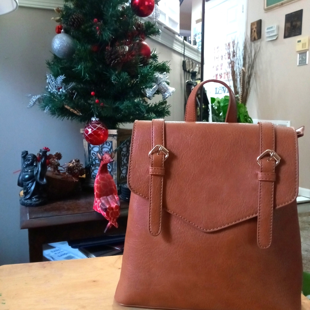 A trendy streamline backpack